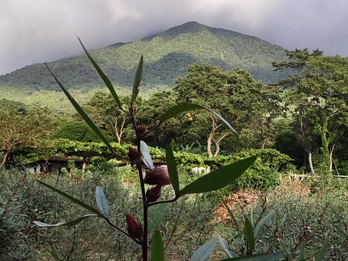 Finca Mystica Mérida Buitenkant foto