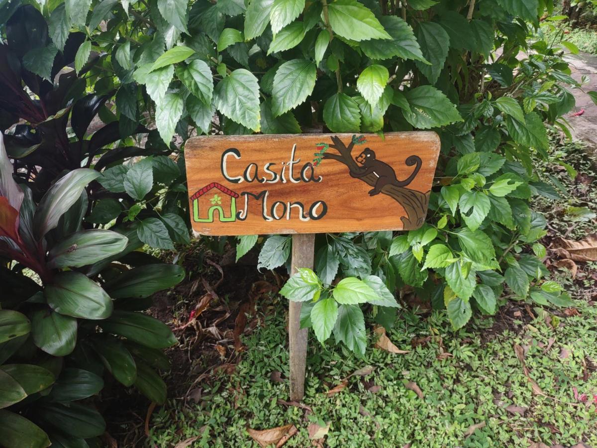 Finca Mystica Mérida Buitenkant foto