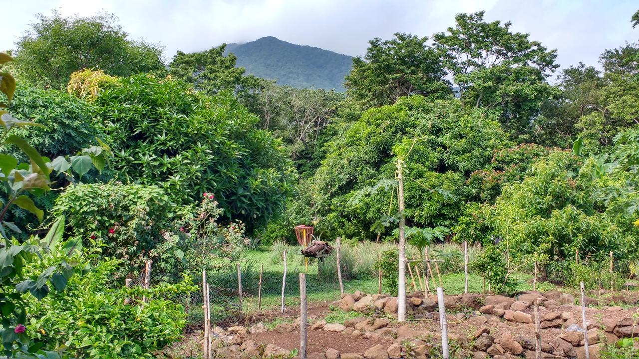 Finca Mystica Mérida Buitenkant foto