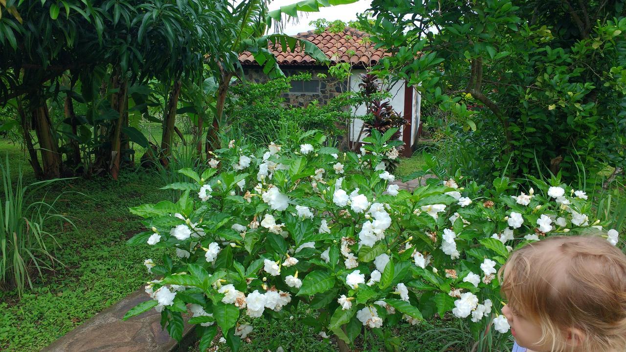 Finca Mystica Mérida Buitenkant foto