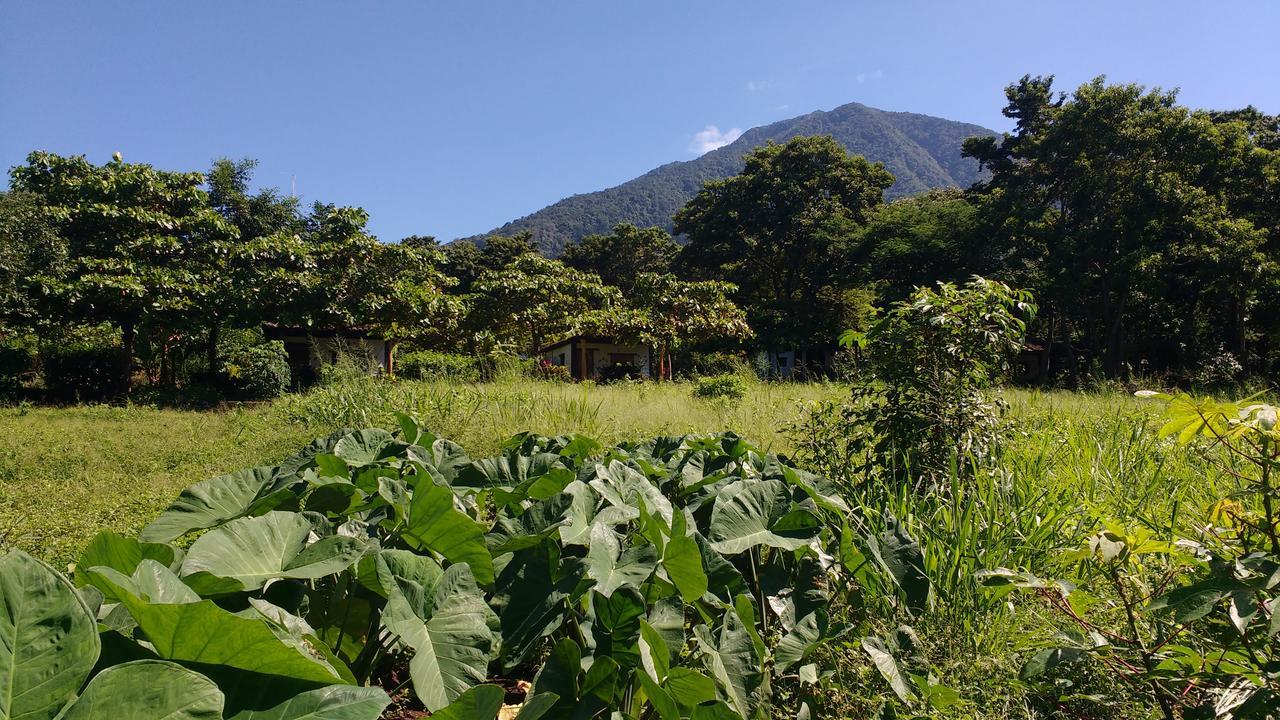 Finca Mystica Mérida Buitenkant foto
