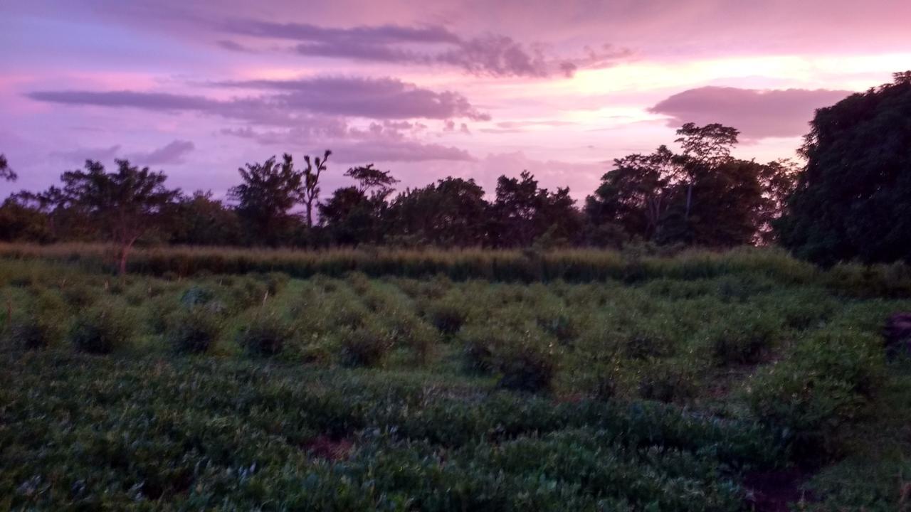 Finca Mystica Mérida Buitenkant foto